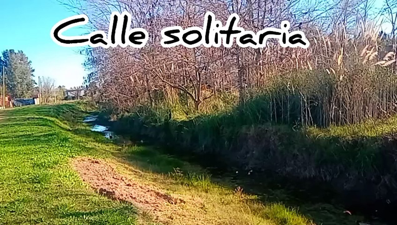 Novia Cumbianchera Calle solitaria canta Giselle Romina Castillo Vargas