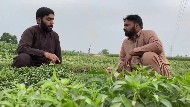 New Hindi Story 2024 Dailymotion, Hindi Shorts Story, BWP Royals, || Awareness Message