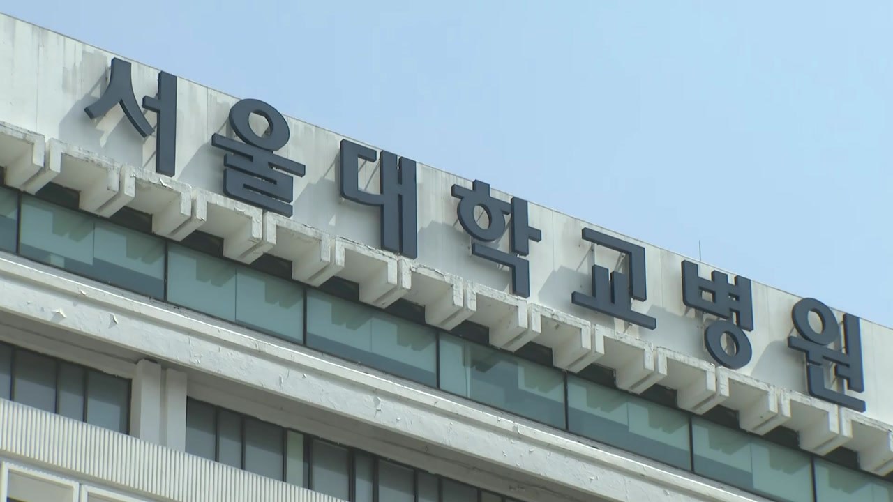 서울대병원 교수들, '휴진 중단' 여부 투표로 결정 / YTN
