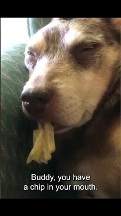 Funny Fails  - #funny #funnyfails #funnyvideo #humor #humour #humormemes #memes #memesvideo #fails