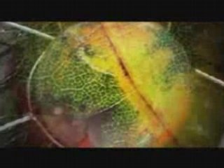 Love Gangsters - Bad Attitude