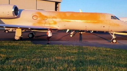 Ativistas ambientais jogam tinta contra jatos privados