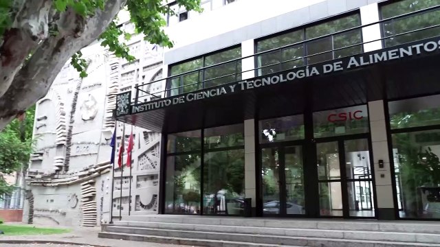 El ICTAN-CSIC valida el uso del aceite de orujo de oliva en repostería