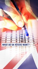  What do UK voters want? 