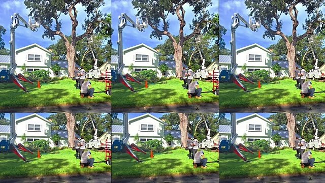 CN Tree Service LLC - Tree Trimming & Tree Removal Experts (360p)