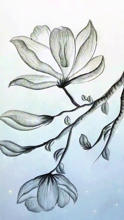 رسم بالقلم الرصاص رائع وجميل #Artstudiolsy #الرسم بقلم الرصاص