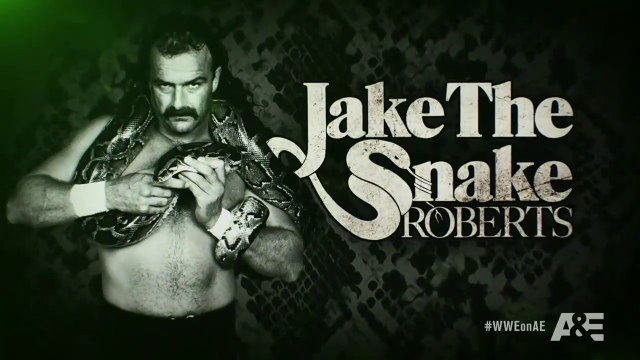 Biography WWE Legends: Jake The Snake Roberts (Season 3. Episode 2)