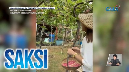 Saksi Part 3: Grape farm; Widows' War feedback; Korean star Byeon Woo Seok in PH