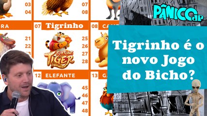 RESENHA ZU E ZUZU: CCJ DO SENADO APROVA LIBERAÇÃO DE CASINOS, BINGO E JOGO DO BICHO!