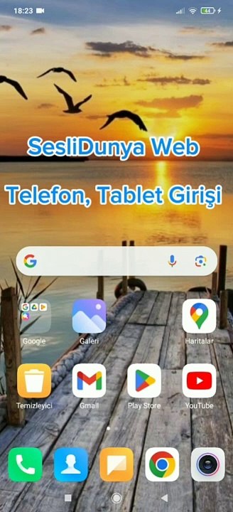 SesliDunya Web ' in orJiNaL Giriş Link! Sesli Anlatım videosu SesliDunyaWeb.
