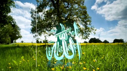 قیامت کے روز انبیاء کرام علیہ السلام کی گواہی