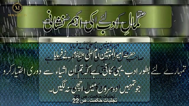 Quotes Of Mola Ali as Matlabi Insan _ Farman Hadees Imam ali as _ Merchant Tv