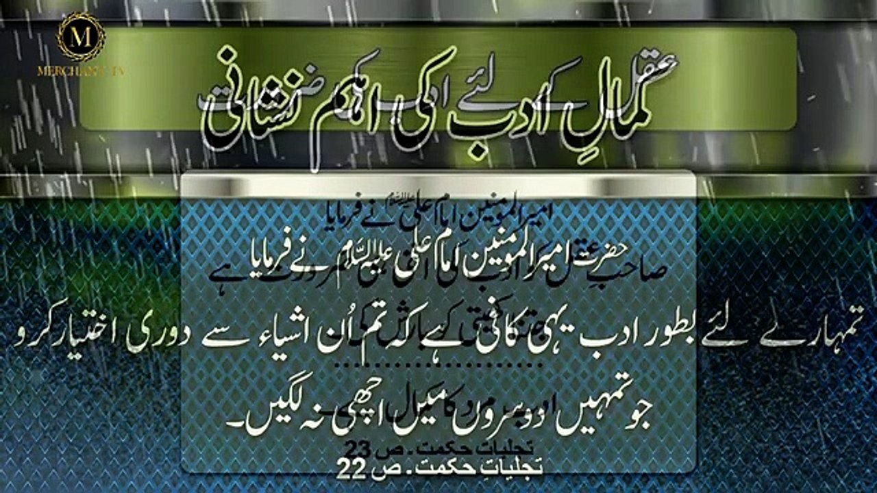 Quotes Of Mola Ali as Matlabi Insan _ Farman Hadees Imam ali as _ Merchant Tv