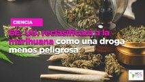 EE. UU. reclasificará a la marihuana como una droga menos peligrosa