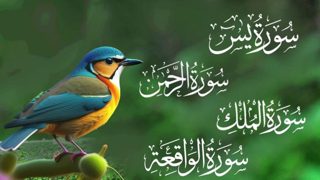 Surah Yaseen | Surah Ar Rahman | Surah Mulk | Surah Waqiah |Beautiful Recitation|