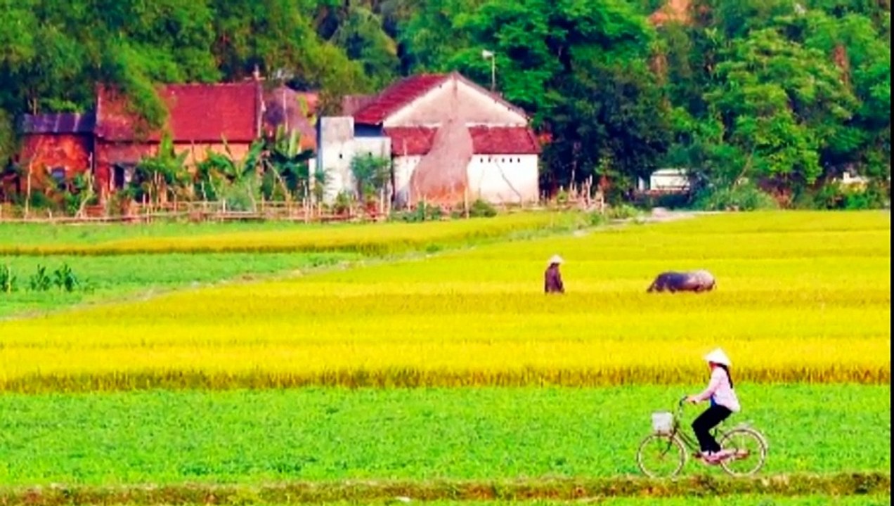 Tình ta biển bạc đồng xanh(Full HD(720P_HD)