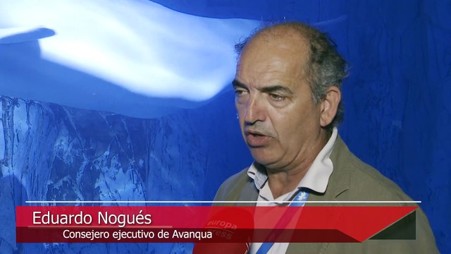 Las belugas rescatadas de Ucrania recuperan la normalidad tras un traslado complicado