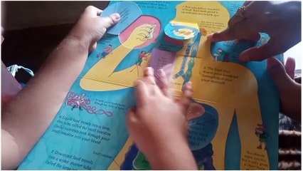 Excretory System|Urinary System|Educational, Science video