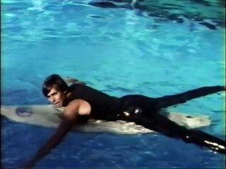 JAWS: The True Story | Full Documentary | NOVA | PBS