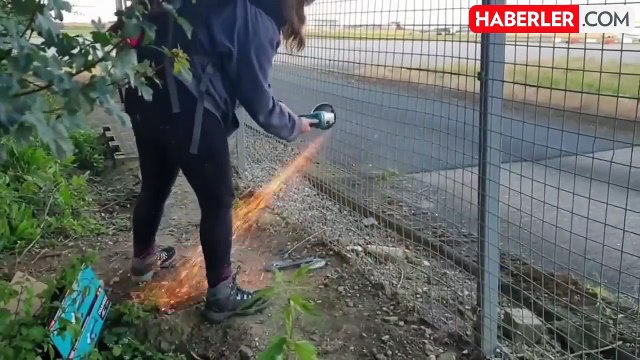 Havalimanına giren iklim aktivistleri, şarkıcı Taylor Swift'in uçağını boyadı