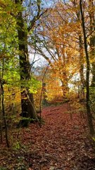 "La Biblia como nunca antes la has visto".