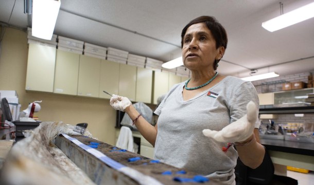 Datos geológicos permiten evitar riesgos en la construcción de edificios: académica