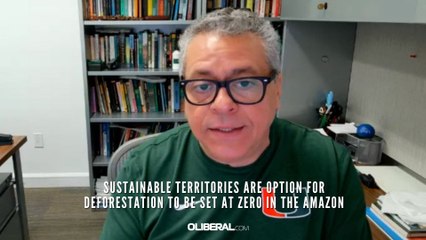 Sustainable territories are option for deforestation to be set at zero in the Amazon