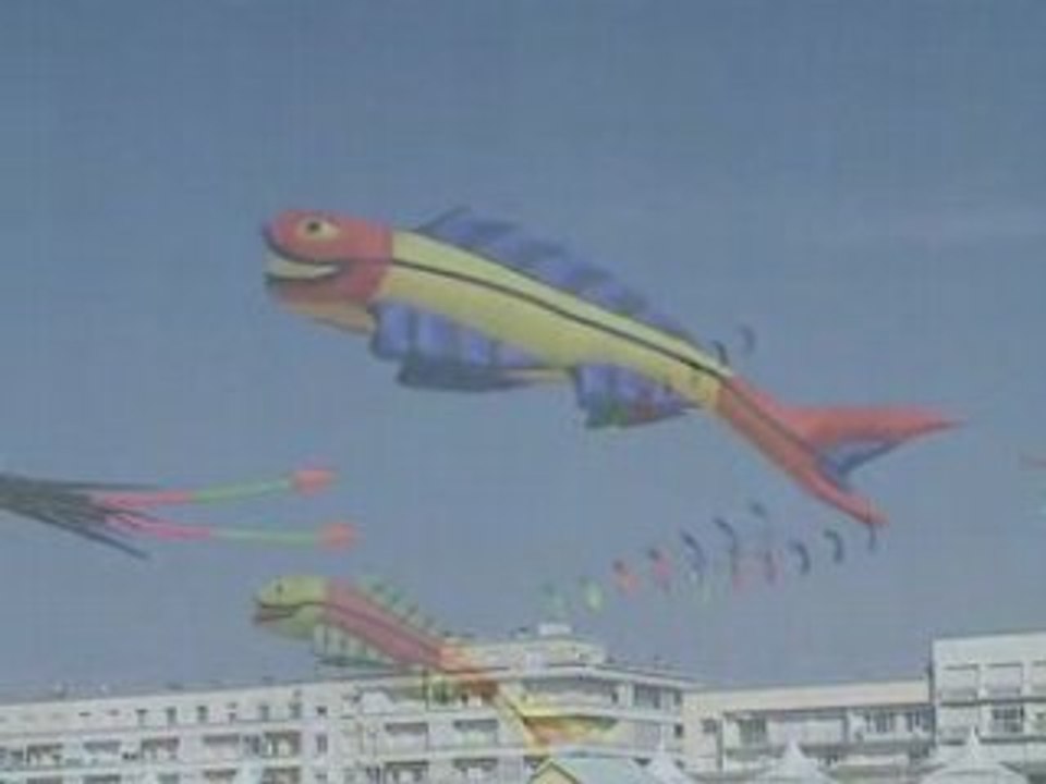 Cerf-volants Berck 2008