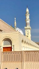 Islamic videos daily beautiful Islam daily