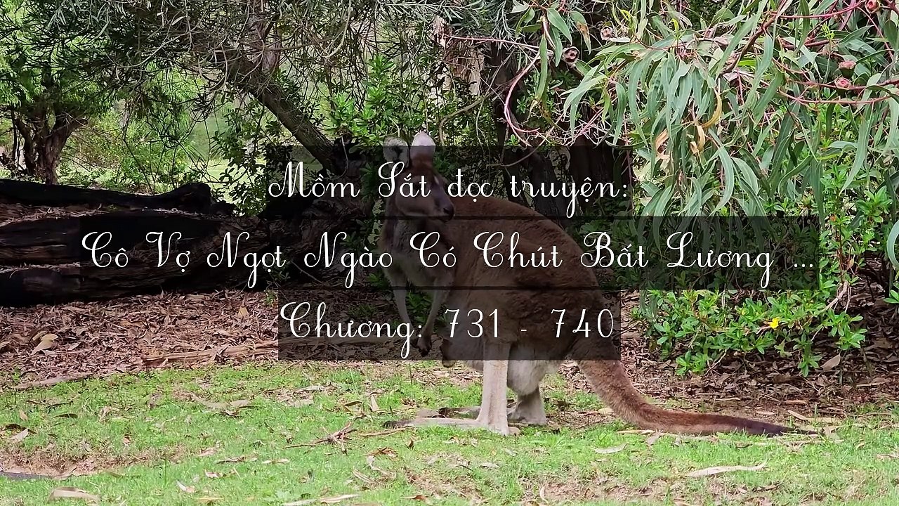 Chương 731-740 Cô Vợ Ngọt Ngào Có Chút Bất Lương (Vợ Mới Bất Lương Có Chút Ngọt)