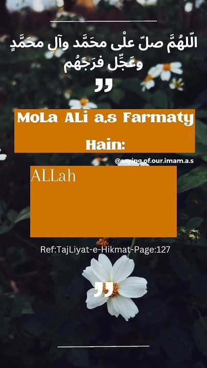 Islamic Quotes