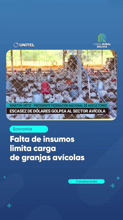 Falta de insumos limita carga de granjas avícolas