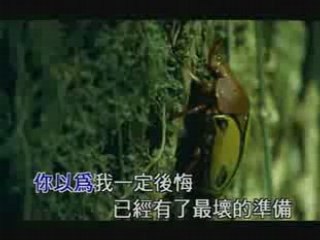 國語-團-S.H.E-NEVER MIND