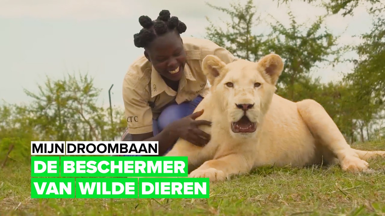 Mijn droombaan: Wilde dierenverzorger
