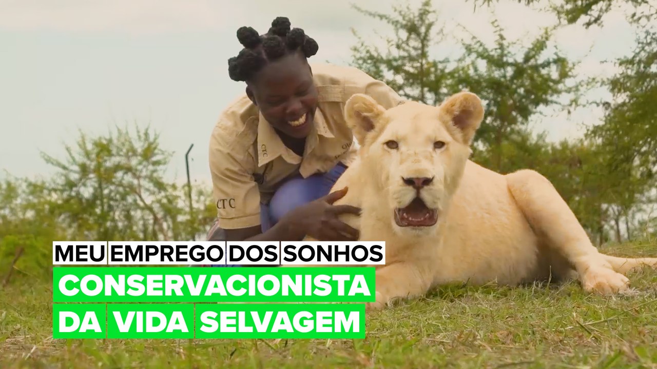 Meu Emprego dos Sonhos: Cuidadora de animais selvagens