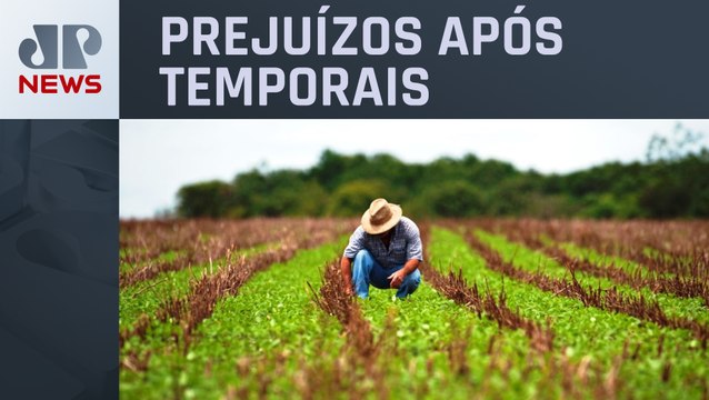 Câmara aprova PL que perdoa dívida de produtores rurais do Rio Grande do Sul