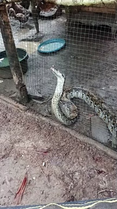VID_20240309_063632