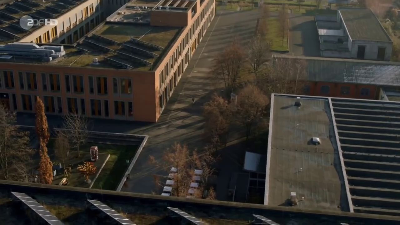 Fritzie -06- Blick nach vorn