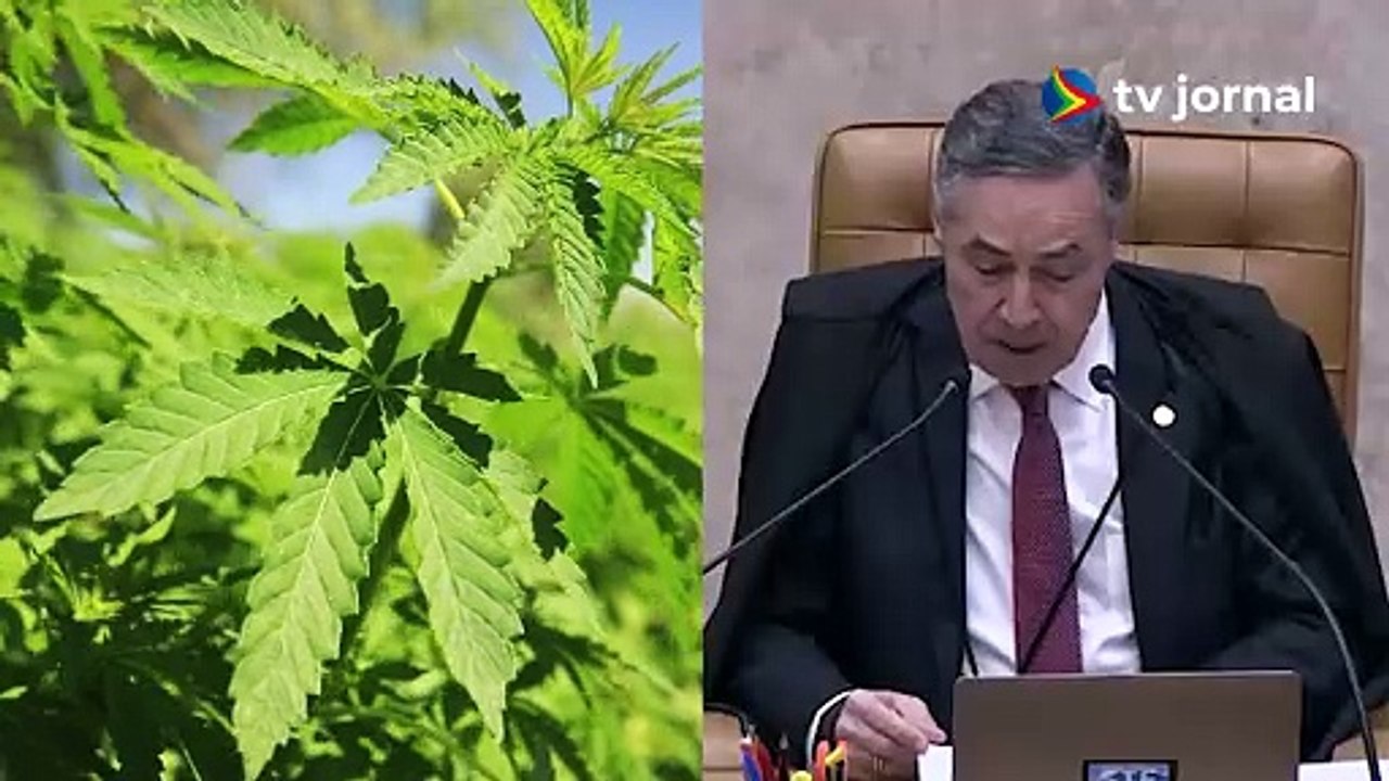 PORTE DE MACONHA FOI LIBERADO? Saiba nova decisão em votação no STF