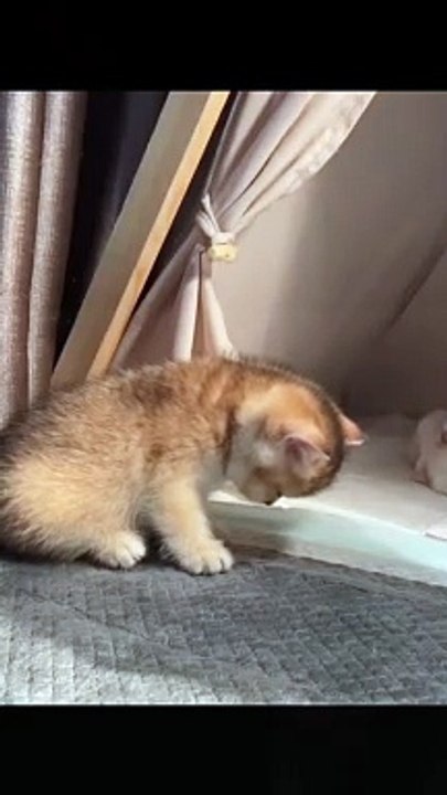 Watch this video