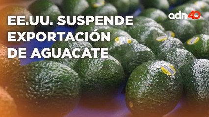 En Estados Unidos le prohiben la entrada a absolutamente todo, hasta al aguacateI Súbete al Mame
