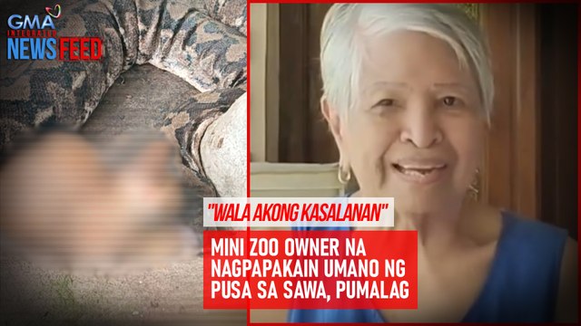 Mini zoo owner na nagpapakain umano ng pusa sa sawa, pumalag | GMA Integrated Newsfeed