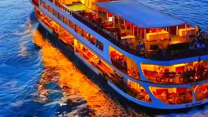 Nỗi buồn xa xứ - Tác giả Đặng Nguyễn