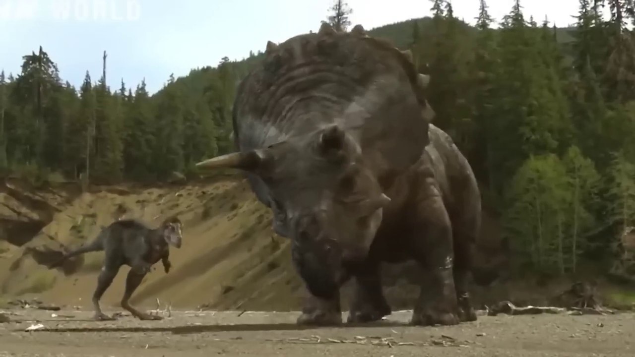 If These Crazy Events Were Not Filmed No One Would Have Believed It