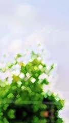 M behtri say pehly der krta hon