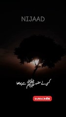 Zameen ya Asman Mey?♥️