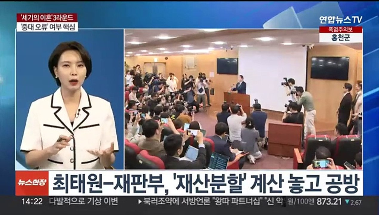 [뉴스현장] 아트센터 소송 노소영 패소…이혼 판결 영향은?