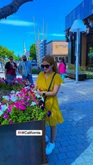 Madam-Kajal-wale-song-music-dance-bollyw_14