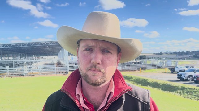 Nick Gray | Elders Ballarat livestock manager | Stock & Land