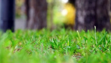 5 Mistakes That Are Destroying Your Focus